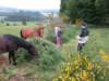HWK Ardennes 2014 022_small.jpg